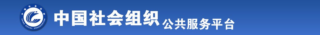 国产插比网全国社会组织信息查询